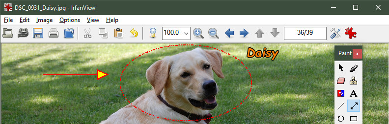 1739189971290986.png